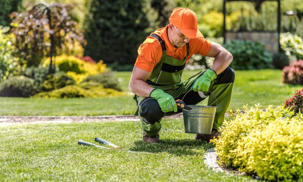 Gebäudereinigung Heidelberg, Gebäudereinigung Ludwigshafen,Gebäudereinigung Mannheim,Gebäudereinigung Worms