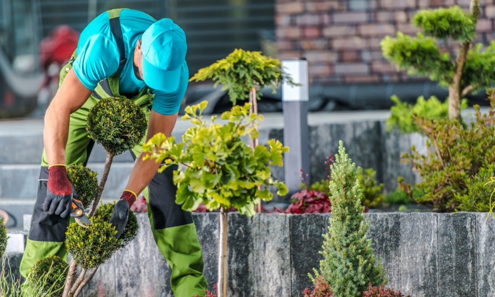 Gebäudereinigung Heidelberg, Gebäudereinigung Ludwigshafen,Gebäudereinigung Mannheim,Gebäudereinigung Worms