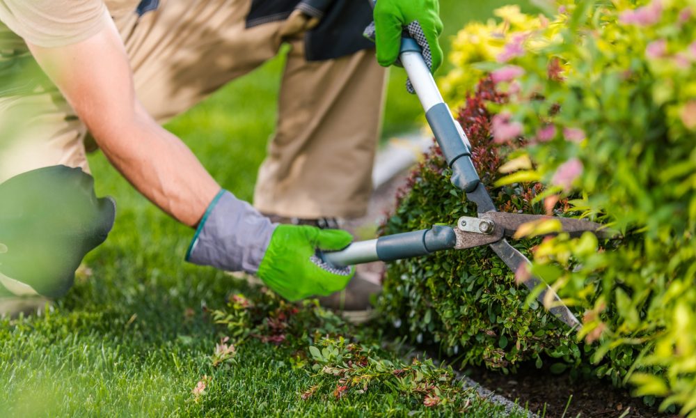 Gebäudereinigung Heidelberg, Gebäudereinigung Ludwigshafen,Gebäudereinigung Mannheim,Gebäudereinigung Worms
